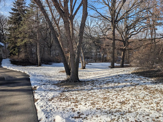 1136X Hawk High Court, Eden Prairie, MN 55347