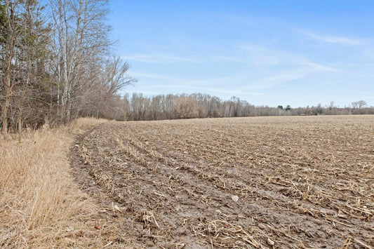 75XX 383rd Avenue, Dalbo, MN 55017
